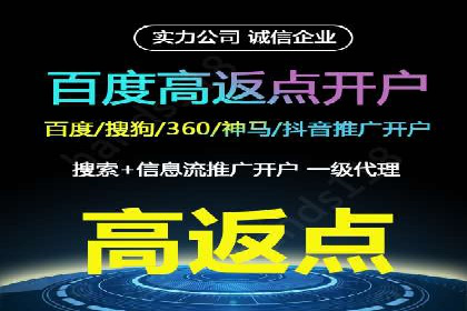 百度竞价SEM案例研究：提升转化率的关键策略